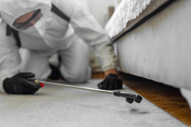 Professional Rodent Control technician working in Center, TX