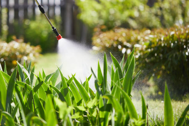 24/7 Emergency Rodent Control experts in Center, TX