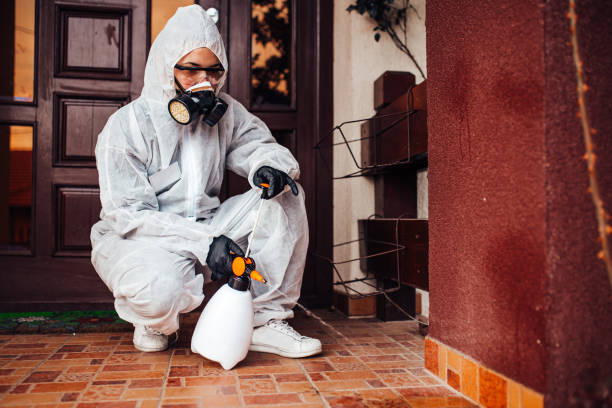 Reliable Rodent Control contractor in Center, TX by Nex Pest Control